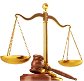 Кодекс Системы судебной и иной правоприменительной практики